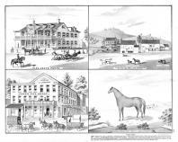 American Eagle Hotel, Geo. P. Fessler, Jas. Kirkpatrick, H.K. Updegrave, Hambletonian Chief, James Kirkpatrick, Schuylkill County 1875